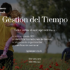 Gestión del Tiempo